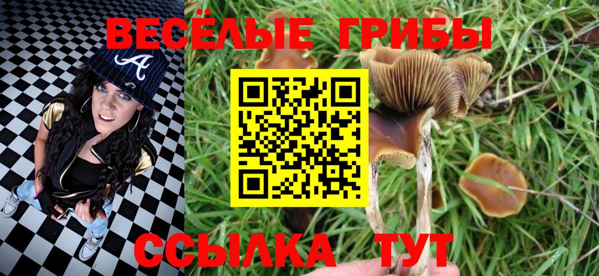 Азов  Псилоцибиновые грибы мухоморы  Галлюциногенные грибы GOLDEN TEACHER  Вход с VPN 